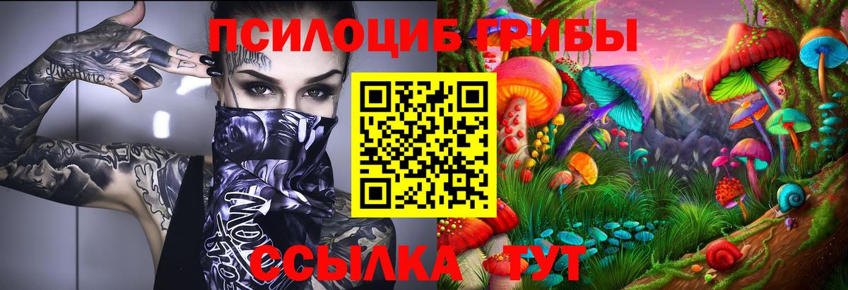 Зерноград  Псилоцибиновые грибы прущие грибы  Вход с VPN  Псилоцибиновые грибы Magic Shrooms 